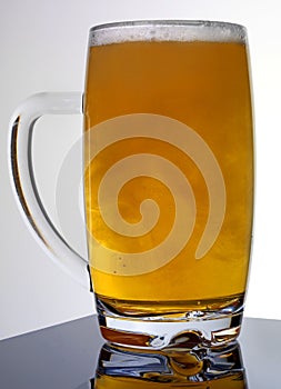 GLASS OF SNAKEBITE - CIDER AND LAGER MIX