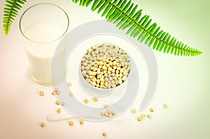 A glass of soy milk with soy beans
