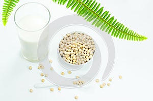 glass of soy milk with soy beans on spoon on white background