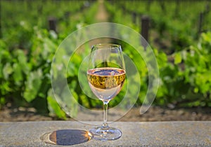 Glass of sparkling rose wine with a blurred view of grape vines in Napa Valley, California, USA