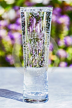 Glass with sparkling water against the backdrop of summer garden