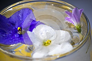 Glass of sparkling water with two flowers of violets of blue and white on a green background