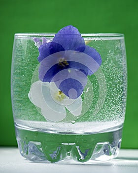 Glass of sparkling water with two flowers of violets of blue and white on a green background