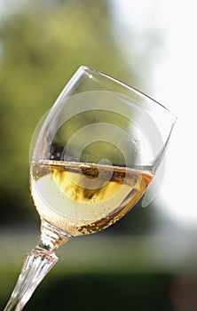 Glass of sparkling wine