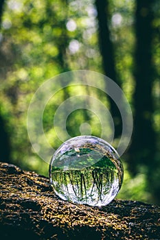 Glass sphere with forest reflection