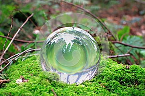 A glass sphere rests on a bed of moss