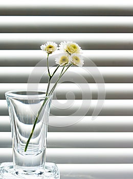 Bicchiere ramo da Selvaggio fiori 