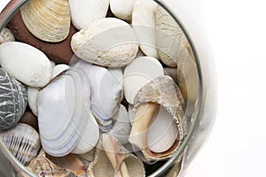 Glass with stones and shells on white background isolated