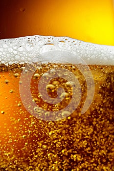 Glass of tasty beer with foam, closeup