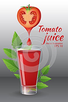 A glass of of tasty fresh tomato juice with red ripe tomatoes, green tomato leafs, cheese, hot chili pepper and parsley