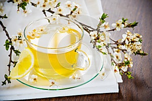 Glass tea cup cherry blossoms.