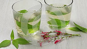 Glass tea cups with fresh Salvia elegans tea, leaves and red flowers