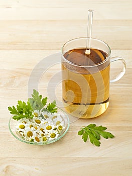 Glass of tea with fresh Feverfew flowers photo