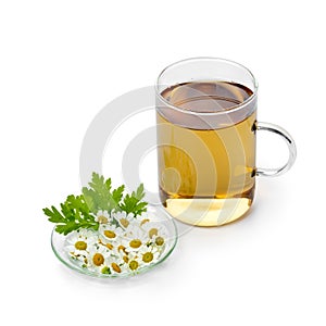 Glass of tea with fresh Feverfew flowers photo
