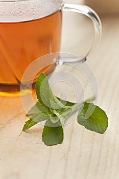 Glass with tea and fresh stevia leaves