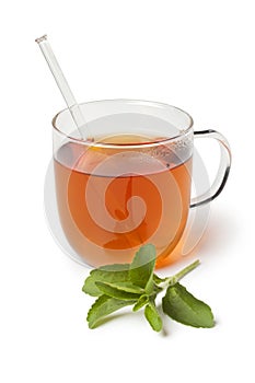 Glass with tea and fresh stevia leaves