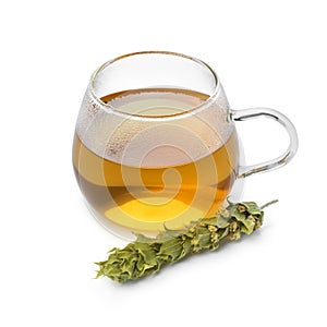 Glass of tea with twigs of dried green ironwort