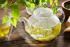 Glass teapot with birch leaf tea. Kettle and cup of healthy birch leaf tea, twigs of Birch tree with leaves. Herbal medicine