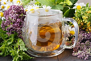 Glass teapot and cup with green tea on old wooden table with fresh herbs