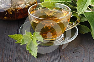 Glass teapot and cup with green tea on old wooden table with fresh herbs