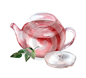 Glass teapot with tea isolated on white background. Watercolor hand drawn illustration