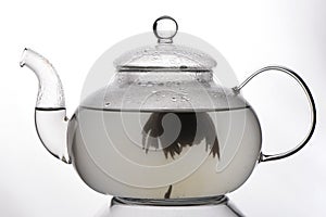 Glass teapot on white background