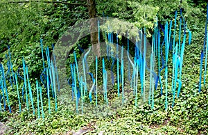 Glass tendrils mimic nature in the garden