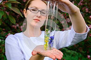 Bicchiere tubi fiore campioni,. una donna mani possesso banche sfocato. studio da impianti medicinale erbe aromatiche 