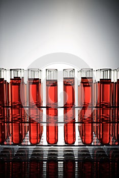 Glass test tubes placed in a laboratory rack with red liquid