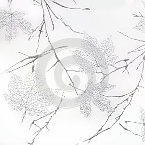 Glass texture background