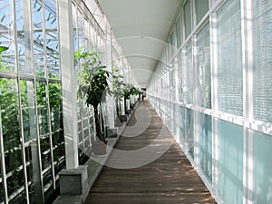 Glass tourist corridor in Agricultural Park