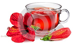 Glass transparent cup with hibiscus tea with big flower and hibiscus burgeon isolated on white