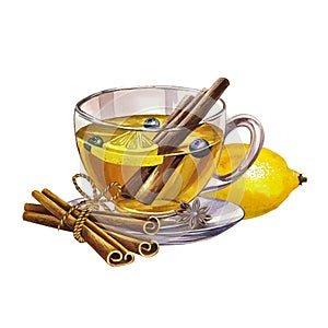 Glass, transparent cup of tea with lemon and cinnamon. Hand drawn watercolor illustration. Hot, aromatic, vitamin and