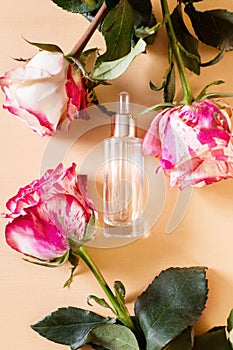 Glass transparent mockup bottle with dropper with cosmetic serum, oil, essence among pink and white rose flowers