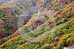 A glass trestle is located in the mountains with charming autumn scenery