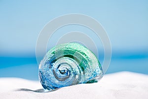 Glass tropical sea shell on white beach sand under the sun lig