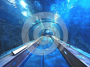 Glass tunnel in LOceanografic aquarium in Valencia, Spain