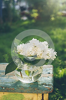 Glass vase with bouguet of white lilac on nature background