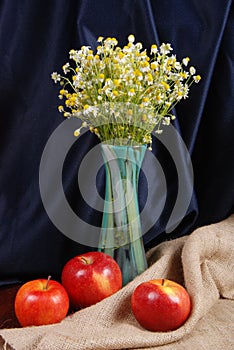 Glass vase with camomiles