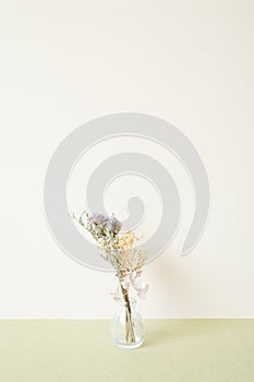 Glass vase of dry flower on table. white ivory background