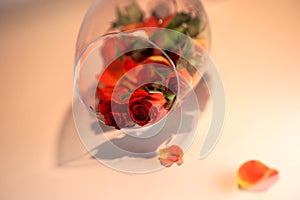 Glass vase filled with red rose petals. Aromatherapy concept.