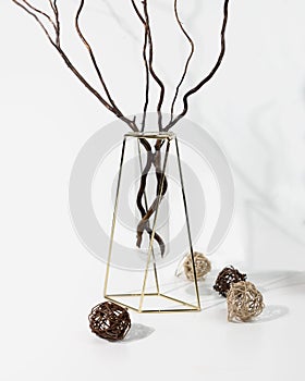 Glass vase with metallic frames with matsuda willow branches. Stylish modern interior element. White background. photo