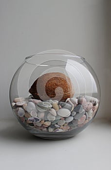 Glass Vase With Sea Pebbles And Whole Coconut On White Background