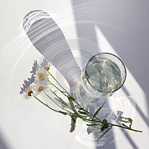 Glass vase with water and a branch of camomile flowers lies on a white table in sunlight with beautiful shining highlights and sha