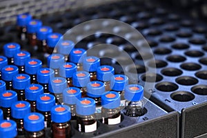 Glass vials with blue caps are in the rack of HPLC system with autosampler. Separation of compounds at chemical or