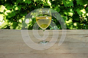 Glass of Vine with Grapevine in Background
