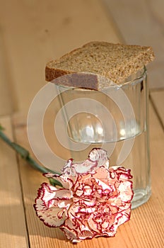 Glass of vodka and a red carnation on a wooden table
