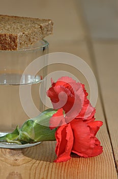 Glass of vodka and a red carnation on a wooden table