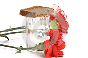 Glass of vodka and a red carnations on white background
