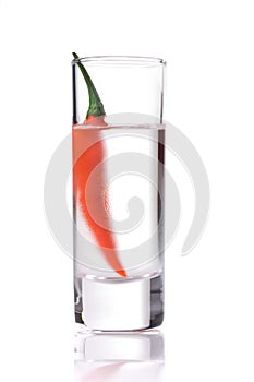 Glass of Vodka with red chili pepper